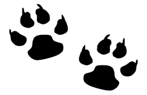 catpaw