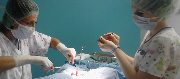 ADVANCED SURGERY